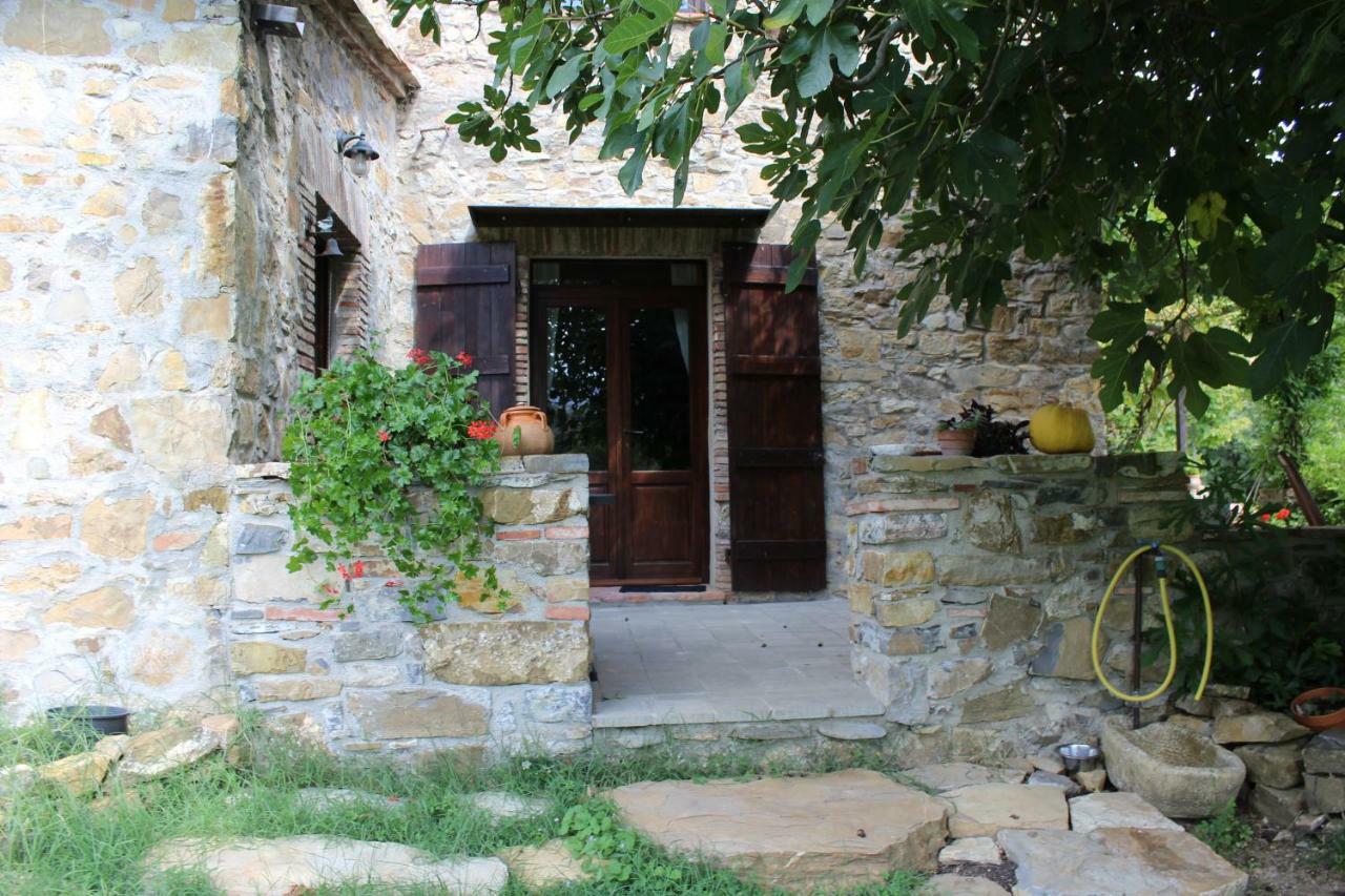 Podere Pian Di Cava Castelnuovo di Val di Cecina Exterior foto