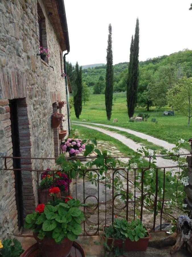Podere Pian Di Cava Castelnuovo di Val di Cecina Exterior foto